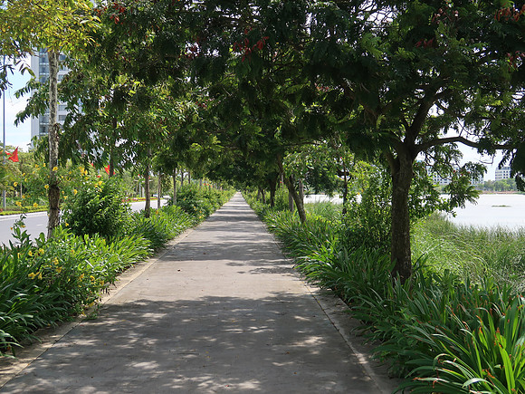 IMG_3666-green-walking-path