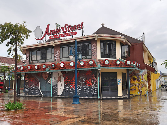 IMG_3769-amie-street