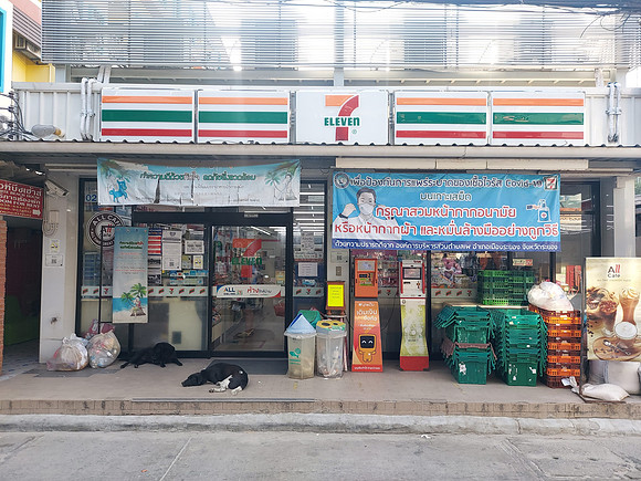 20211219_161236-7-eleven-dogs