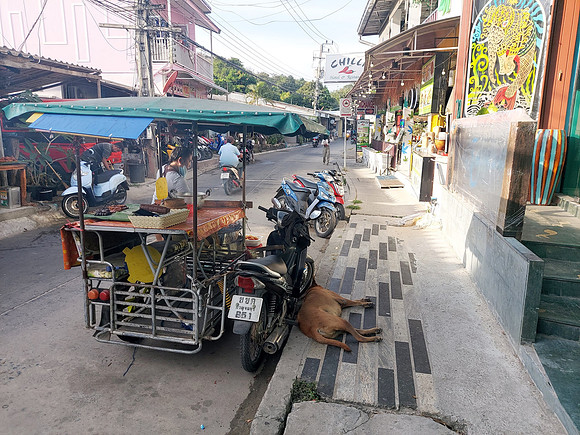 20211219_161327-street-cart-dog