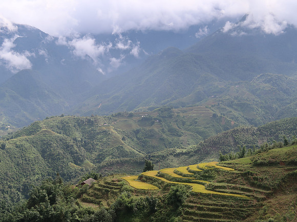IMG_4128-rice-terrace