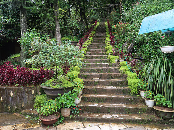 IMG_4348-path-to-ham-rong