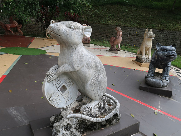 IMG_4442-rat-and-pig