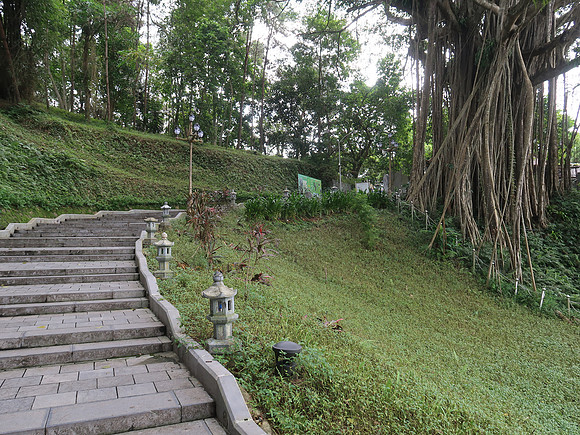 IMG_4445-walk-to-tree