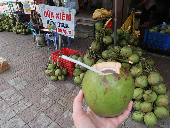 IMG_4460-ben-tre-coconut