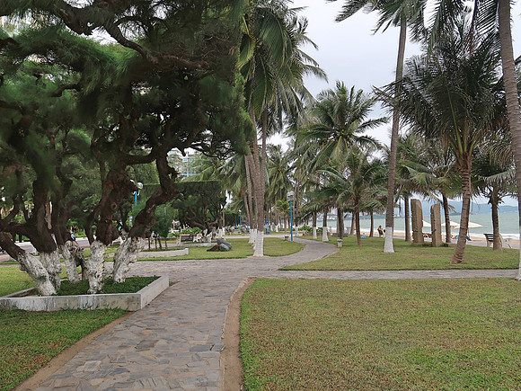IMG_4761-beach-park