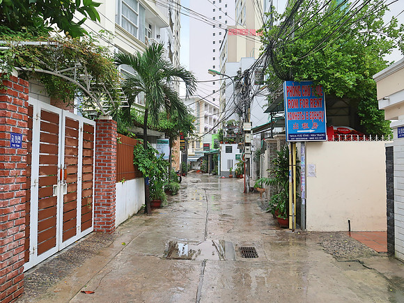 IMG_4878-alpha-bird-alley