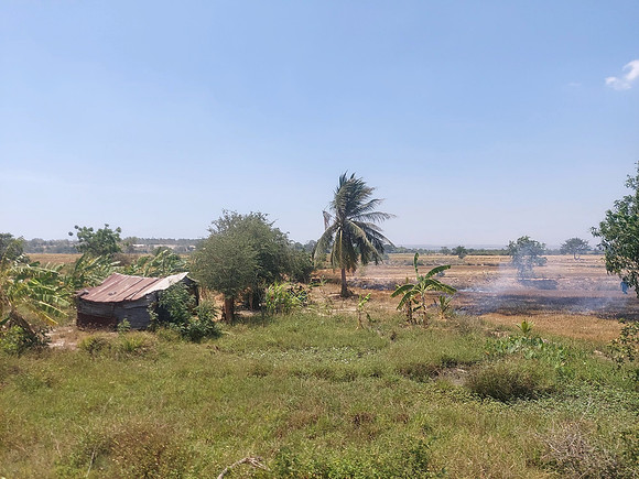 20240330_105742-burning-farmland
