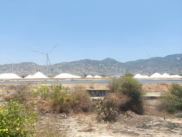 20240330_114726-salt-fields