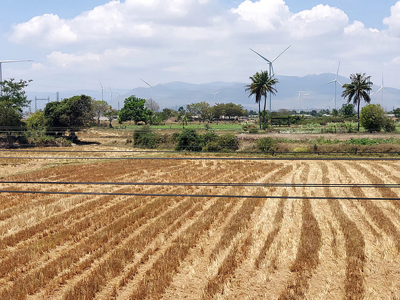 20240330_115645-farmland