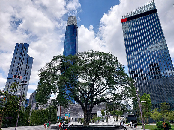 20240411_133521-trx-tree