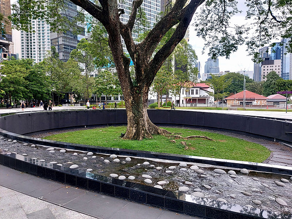 20240411_133341-trx-tree-garden