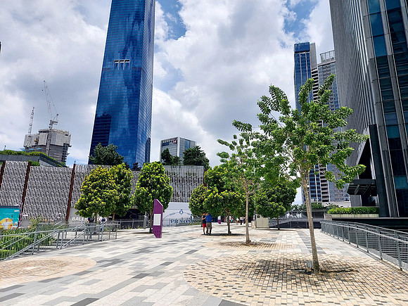 20240411_133734-trx-trees