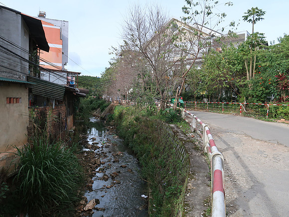 IMG_5937-stream