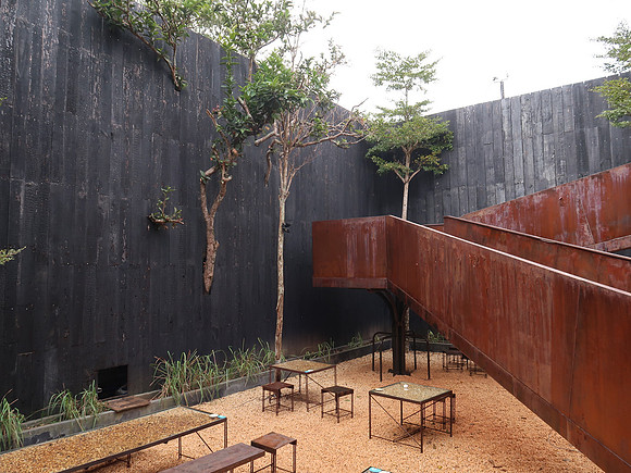 IMG_5950-yam-garden