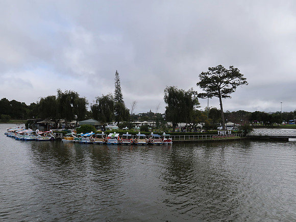 IMG_6015-swan-boats