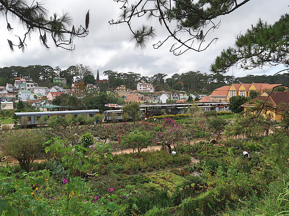 IMG_6049-dalat-station-garden