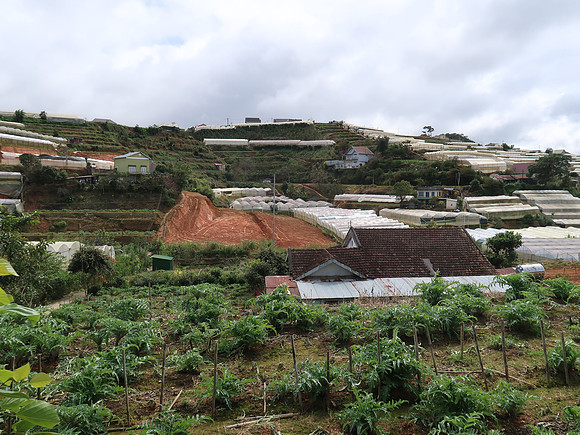 IMG_6091-agricultural-land