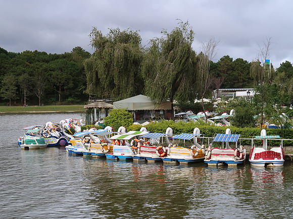 IMG_6162-paddle-boats