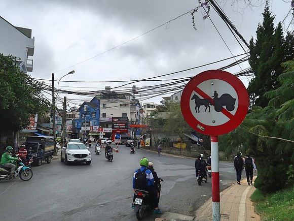 IMG_6195-no-horse-and-cart
