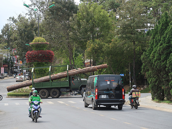 IMG_6214-timber-truck