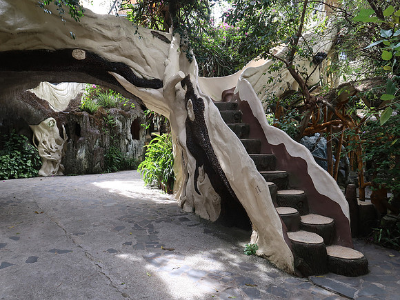 IMG_6226-treee-stump-stairs