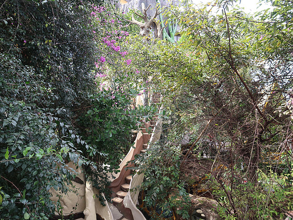 IMG_6229-crazy-garden
