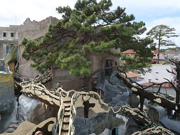 IMG_6237-roof-tree