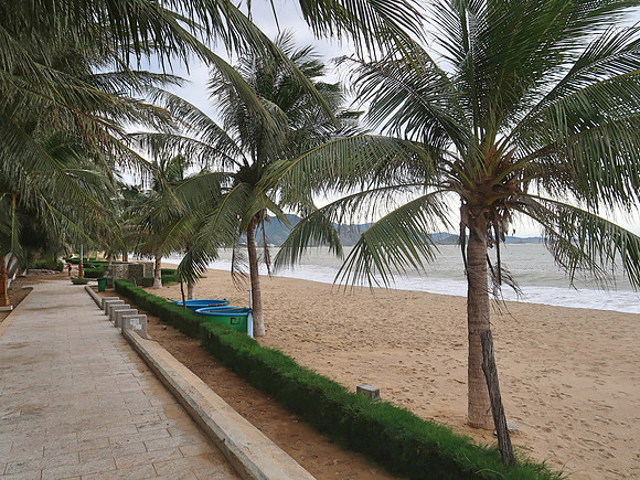 IMG_6500-beach-walk