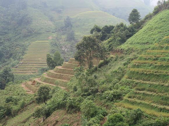 IMG_4376-terraces-near-sapa