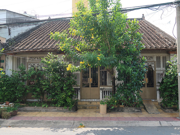 IMG_6742-473-nguyen-hue