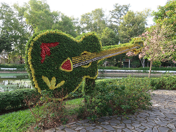 IMG_6823-flower-guitar