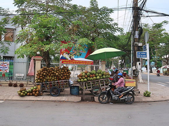 IMG_7157-coconuts
