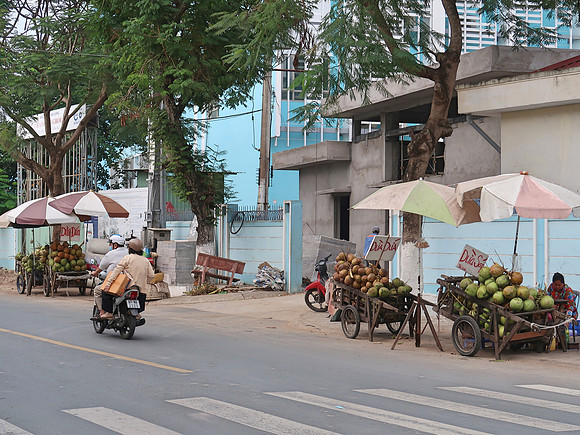 IMG_7158-coconut-carts