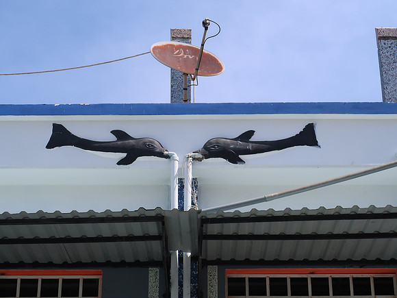 IMG_7240-fish-drains