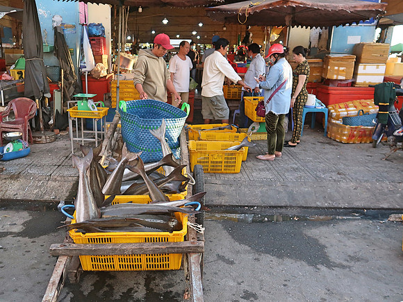IMG_7360-fish-traders