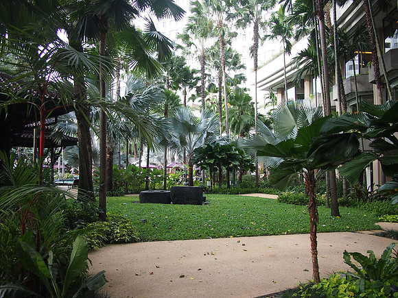 P8228222-garden