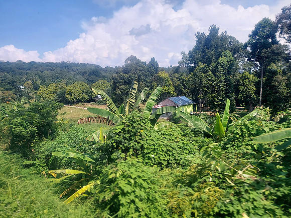 20240422_143342-farm