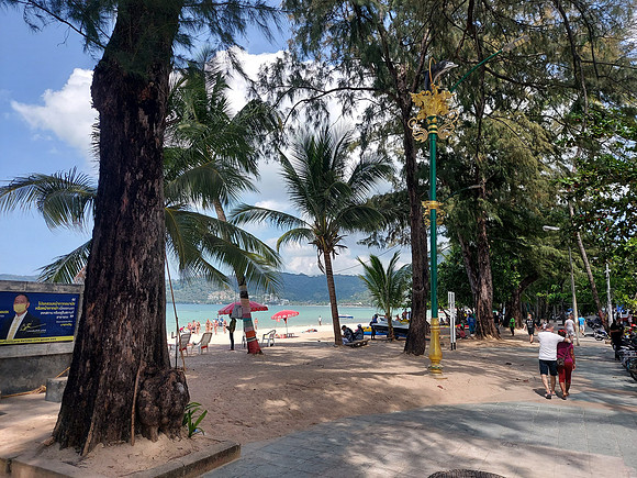 20220123_130054-beach-trees