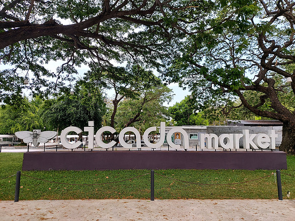 20220318_153954-cicada-market