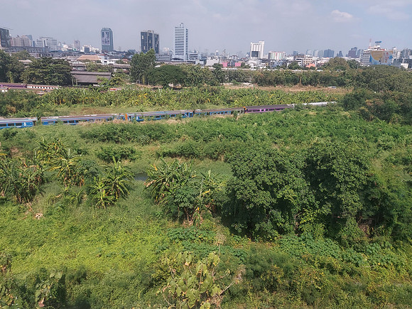 20211210_124423-makkasan-green-space
