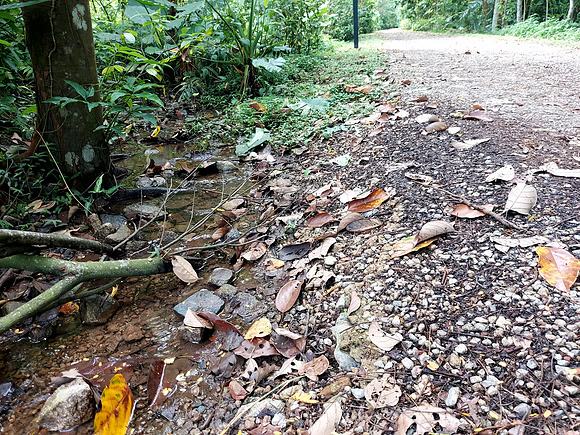 20240418_112721-clean-stream