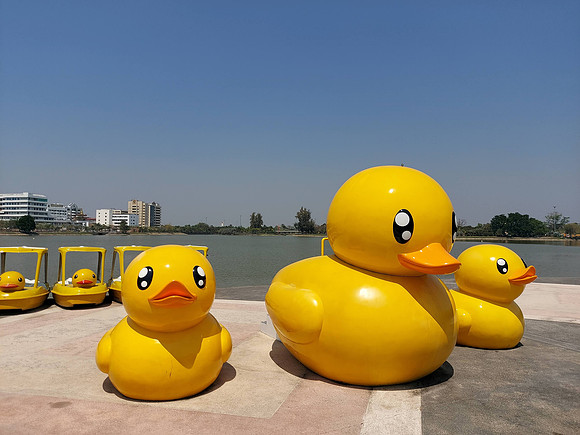 20220301_121051-udon-thani-ducks