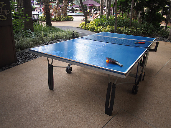 P8228224-ping-pong