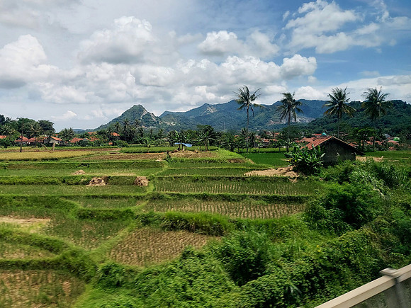 20240427_111849-ricefields-view