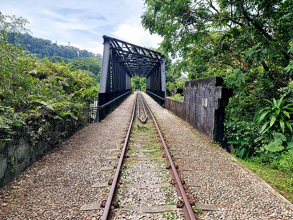 20240418_112250-upper-bukit-timah-truss-bridge