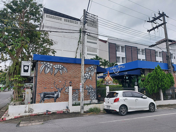 20220308_125422-coffee-farm