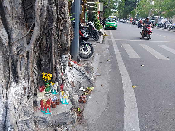 20220623_181049-tree-shrine