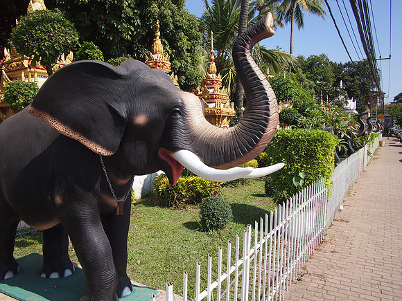 PC099230-temple-elephants