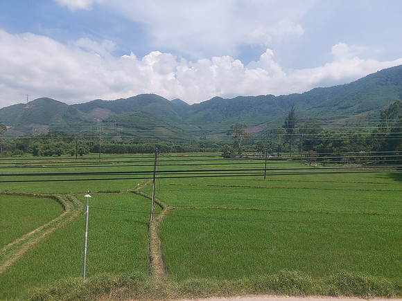 20220623_133504-rice-fields